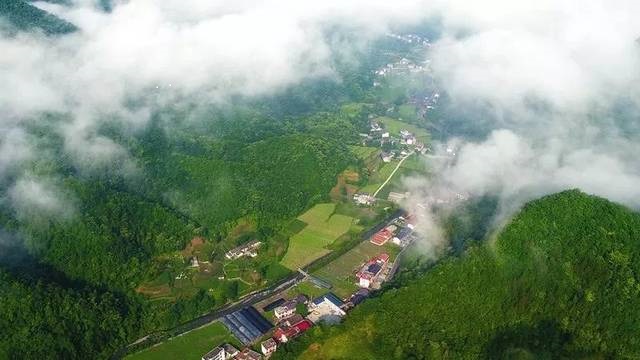 风光互补气象站